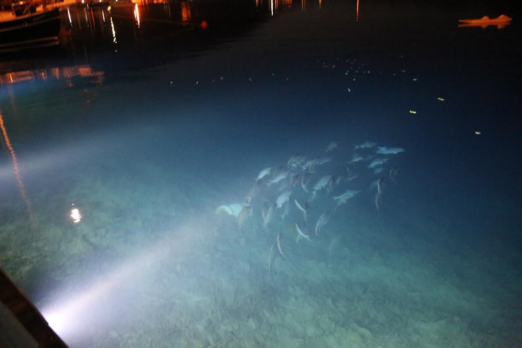 Dolphin Hotel Selimiye  Luaran gambar